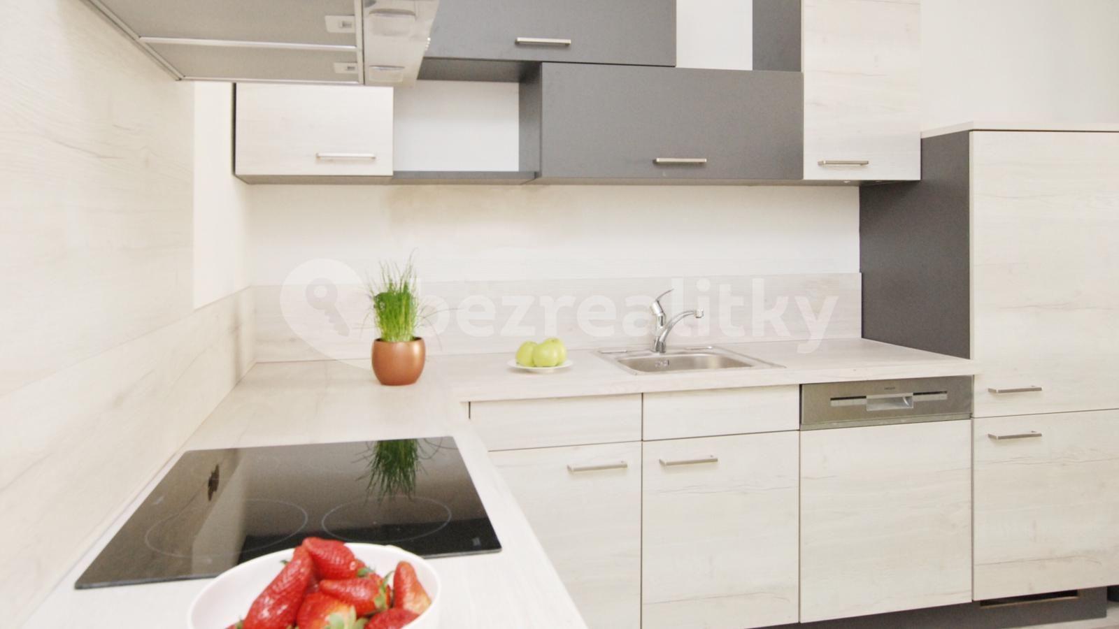 1 bedroom with open-plan kitchen flat to rent, 53 m², Žateckých, Prague, Prague