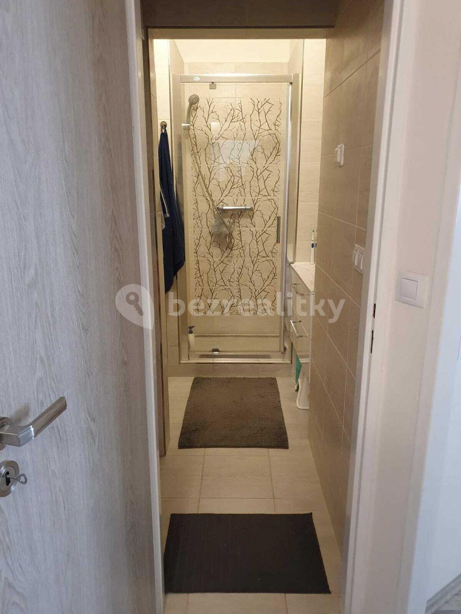 1 bedroom with open-plan kitchen flat to rent, 53 m², Žateckých, Prague, Prague