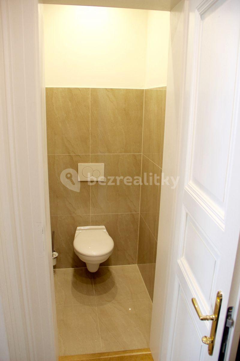 Studio flat to rent, 62 m², Milady Horákové, Prague, Prague