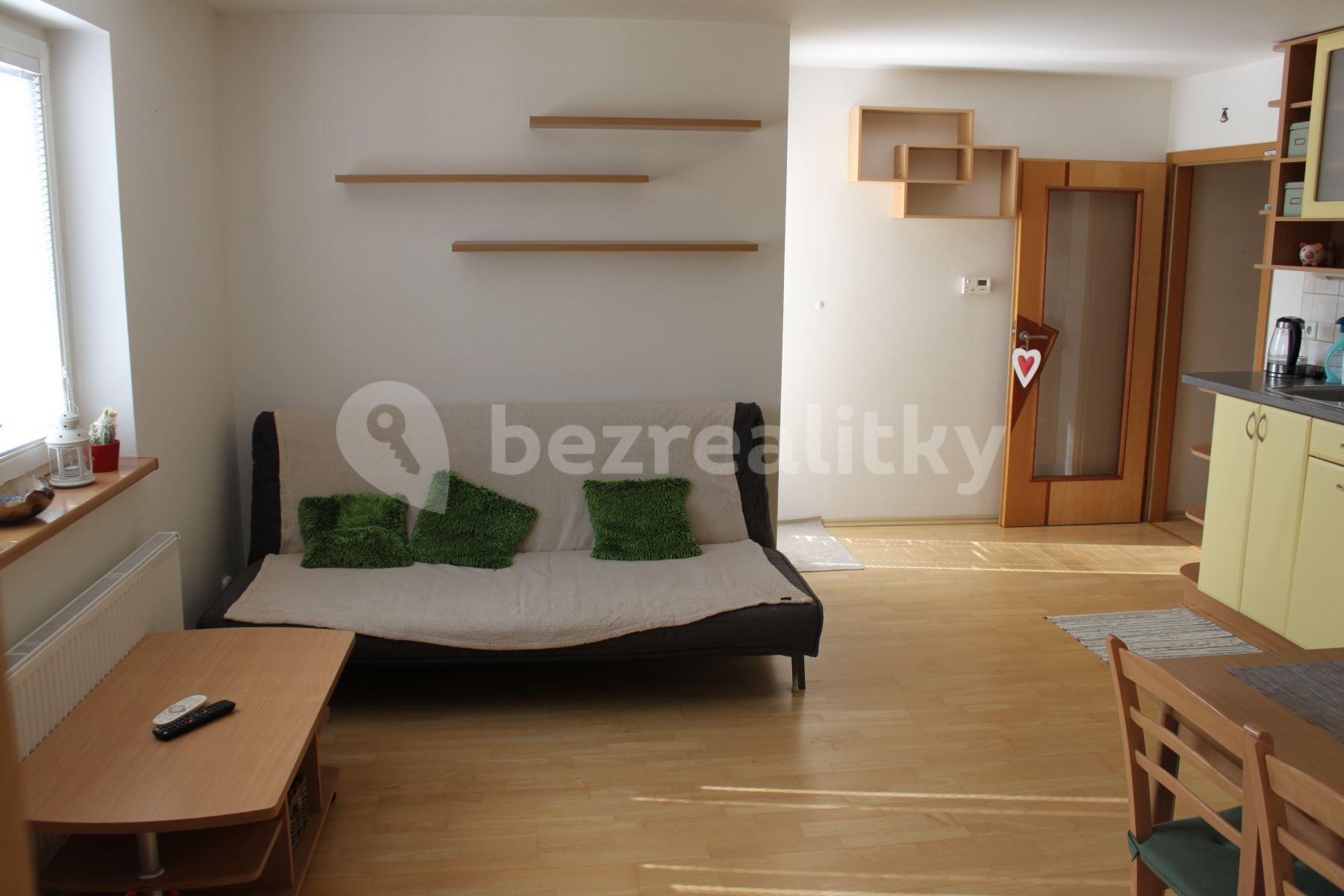 1 bedroom with open-plan kitchen flat to rent, 50 m², Nuselská, Prague, Prague