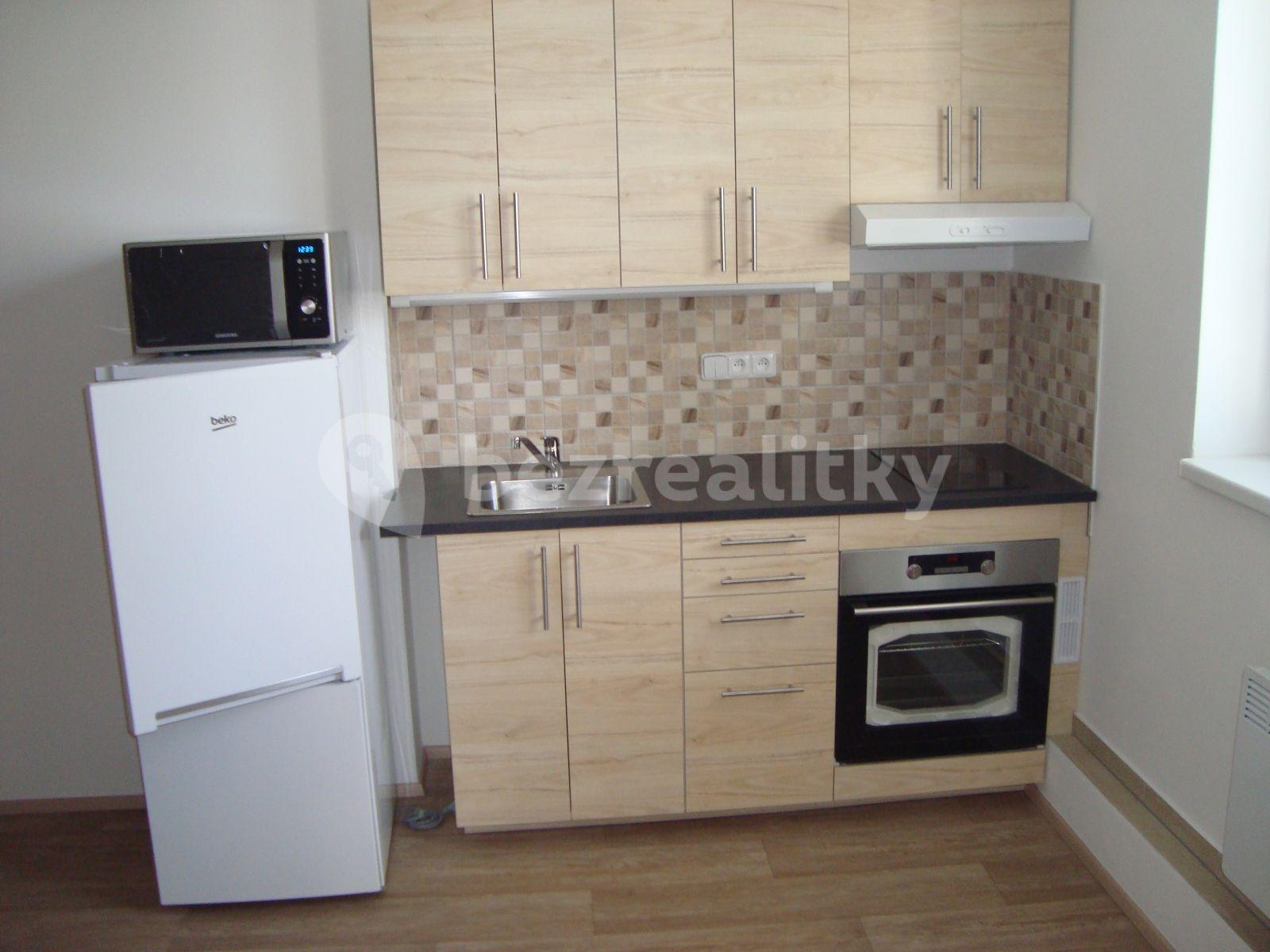 1 bedroom with open-plan kitchen flat to rent, 41 m², Perunova, Brno, Jihomoravský Region