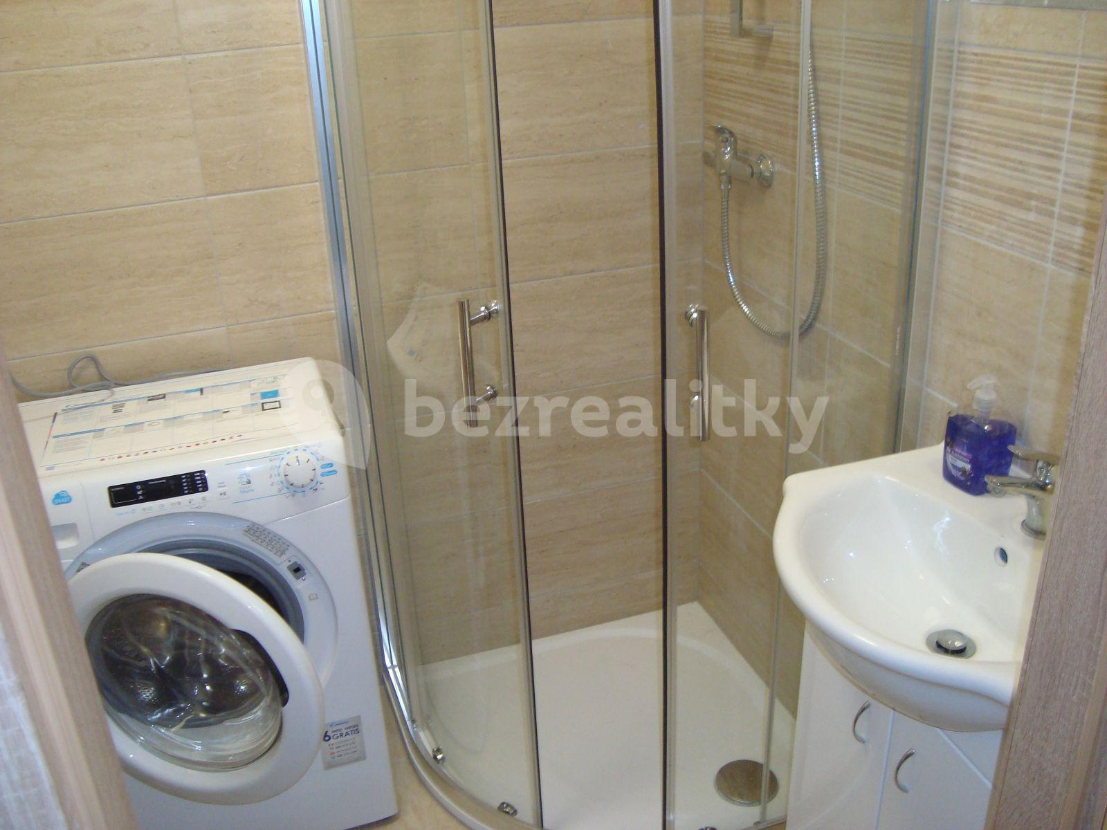 1 bedroom with open-plan kitchen flat to rent, 41 m², Perunova, Brno, Jihomoravský Region