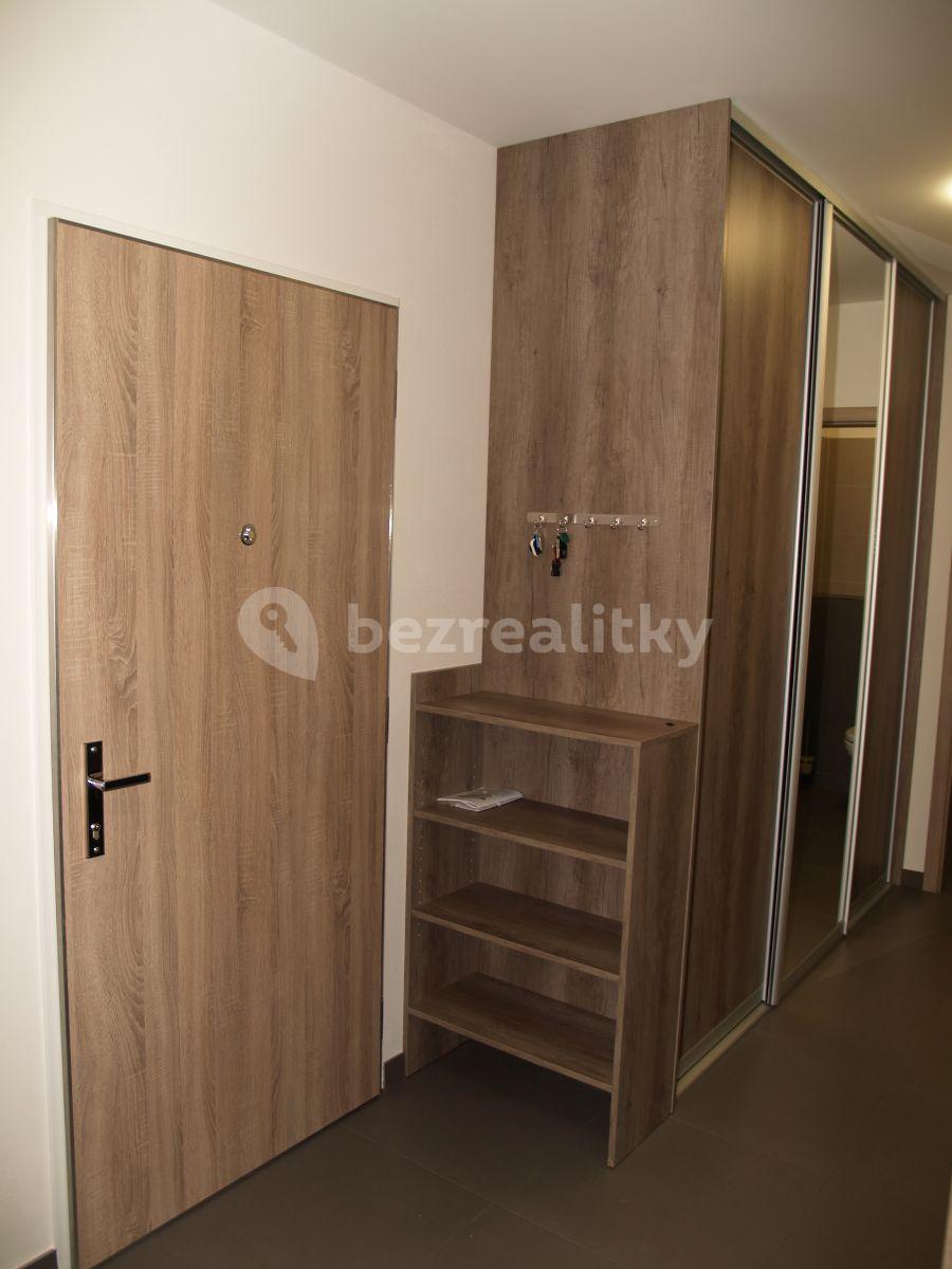 2 bedroom with open-plan kitchen flat to rent, 82 m², Toufarova, Prague, Prague