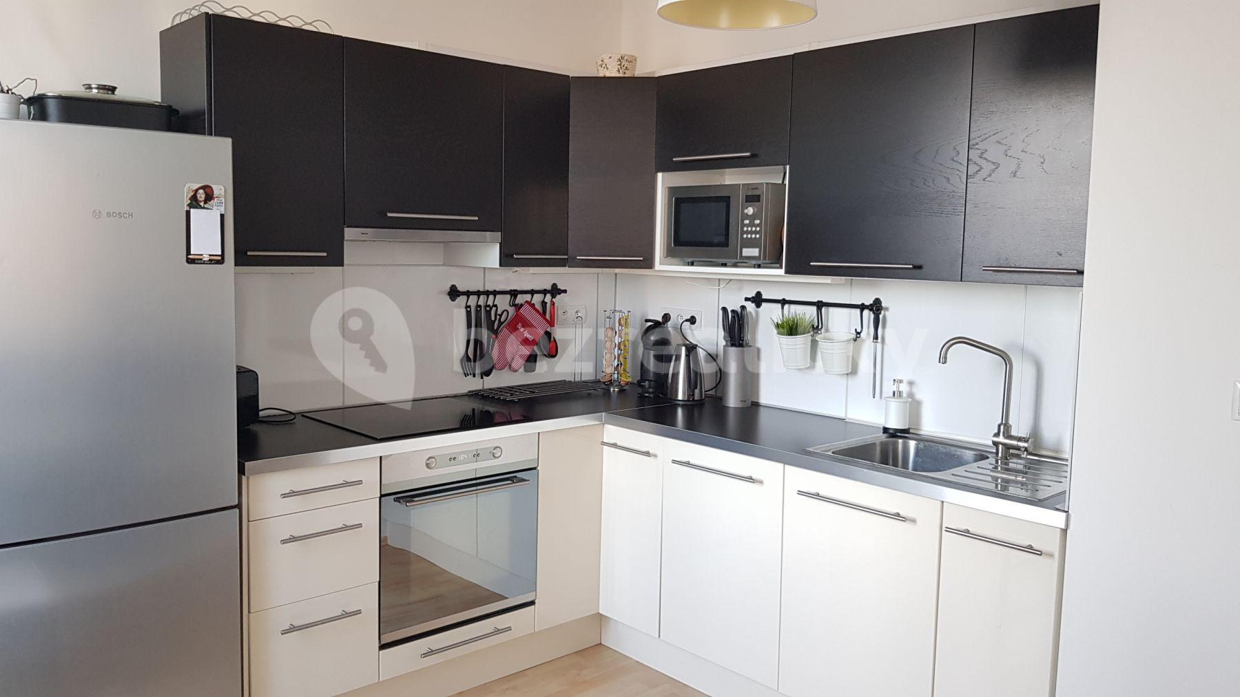 1 bedroom with open-plan kitchen flat to rent, 60 m², U Hostavického potoka, Prague, Prague