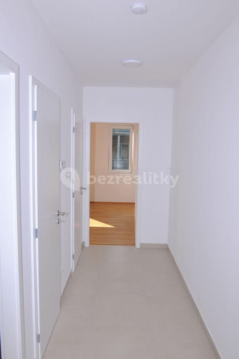 1 bedroom with open-plan kitchen flat to rent, 57 m², Hadovitá, Prague, Prague