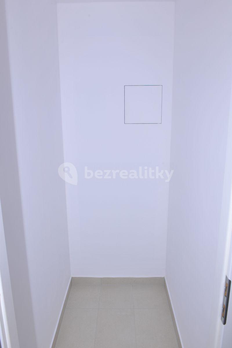 1 bedroom with open-plan kitchen flat to rent, 57 m², Hadovitá, Prague, Prague