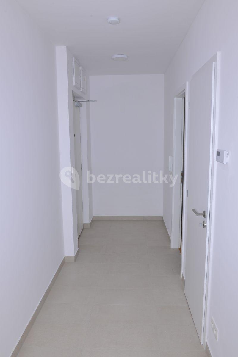 1 bedroom with open-plan kitchen flat to rent, 57 m², Hadovitá, Prague, Prague