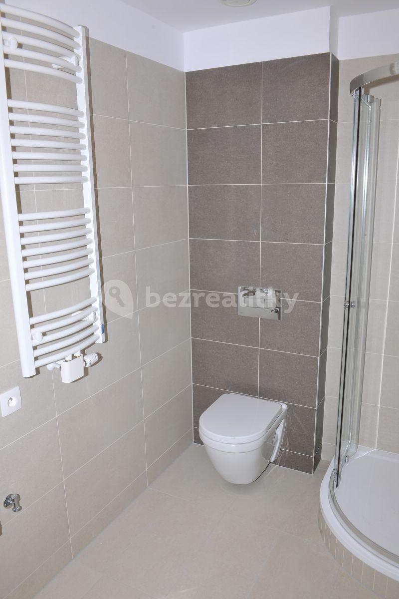 1 bedroom with open-plan kitchen flat to rent, 57 m², Hadovitá, Prague, Prague