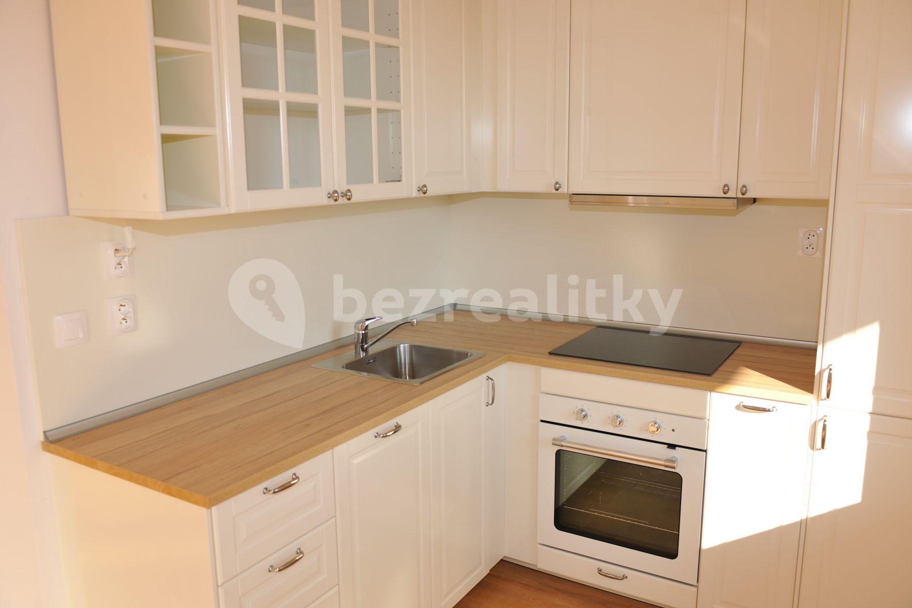 1 bedroom with open-plan kitchen flat to rent, 57 m², Hadovitá, Prague, Prague