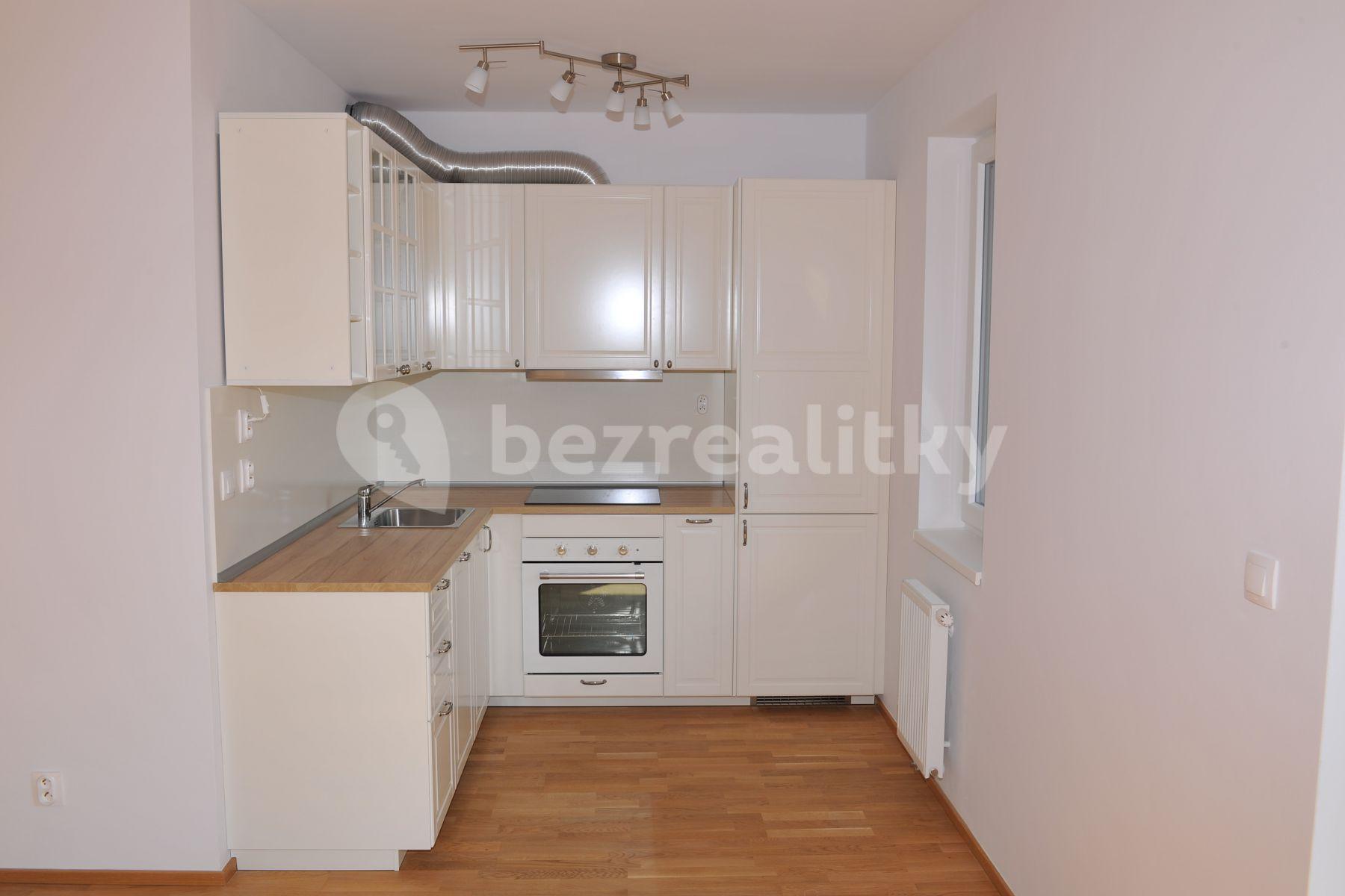 1 bedroom with open-plan kitchen flat to rent, 57 m², Hadovitá, Prague, Prague