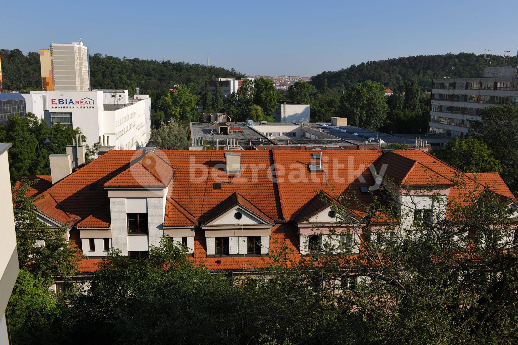 1 bedroom with open-plan kitchen flat to rent, 57 m², Hadovitá, Prague, Prague