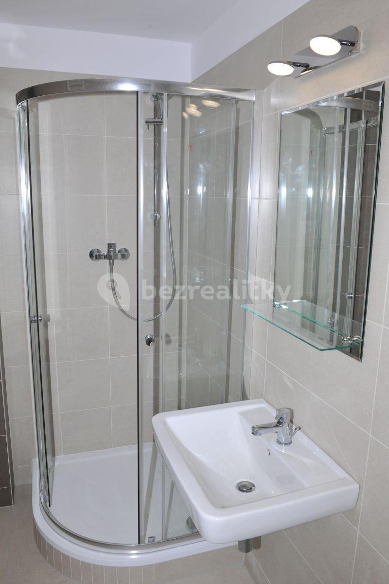 1 bedroom with open-plan kitchen flat to rent, 57 m², Hadovitá, Prague, Prague