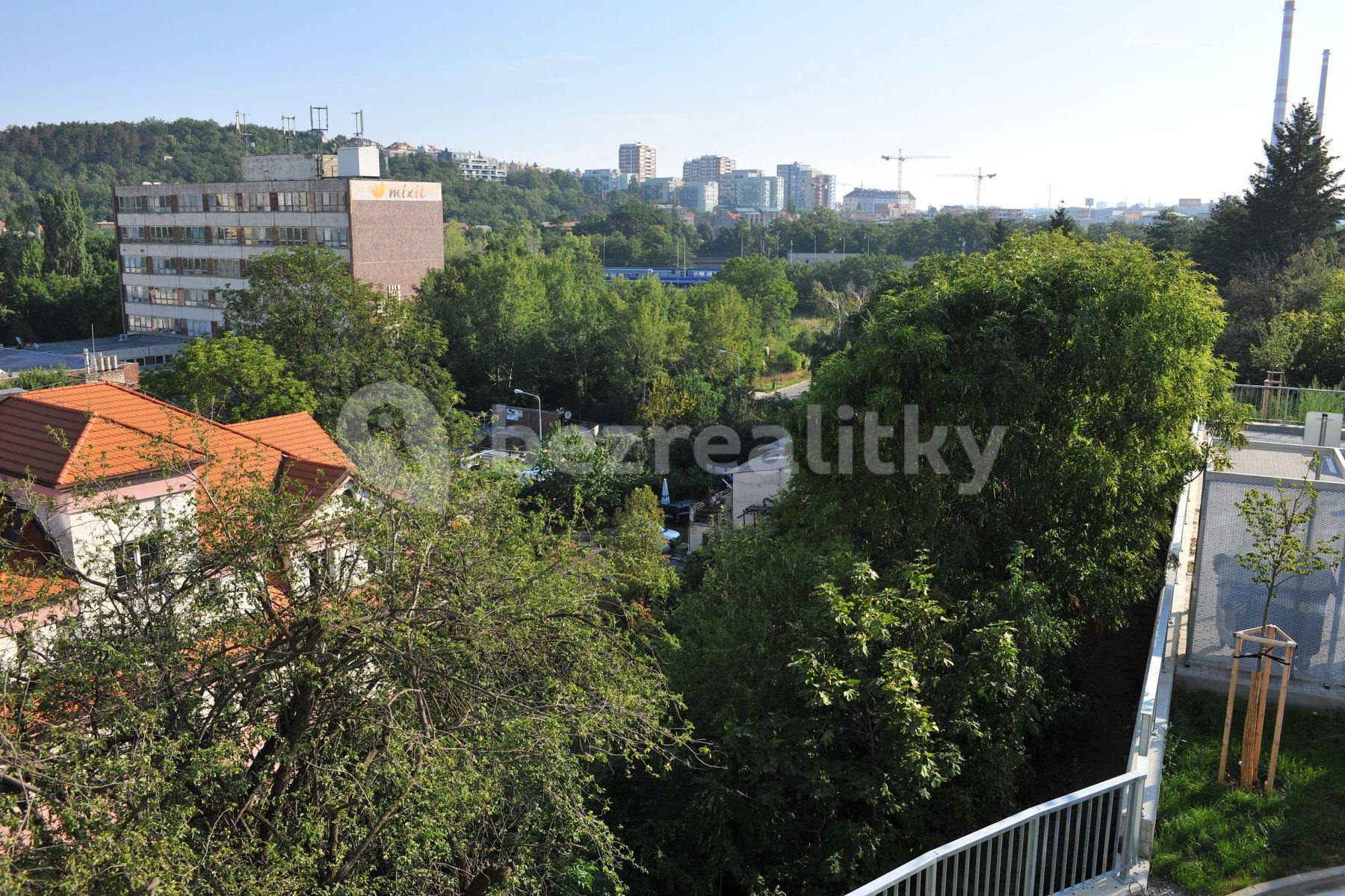 1 bedroom with open-plan kitchen flat to rent, 57 m², Hadovitá, Prague, Prague