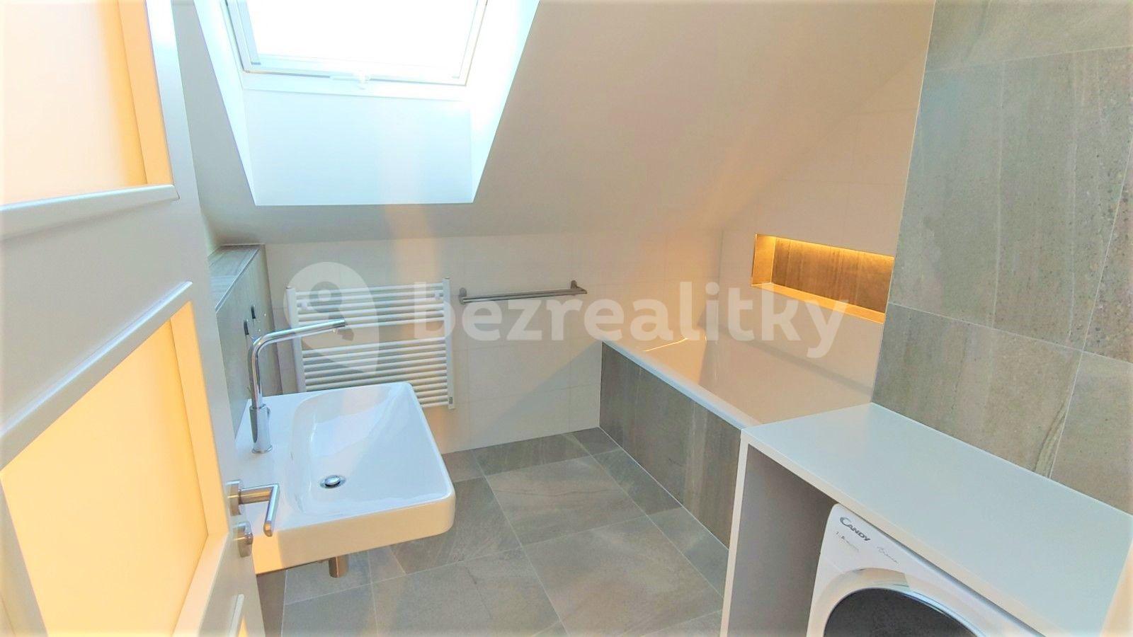 1 bedroom with open-plan kitchen flat to rent, 71 m², Frimlova, Prague, Prague