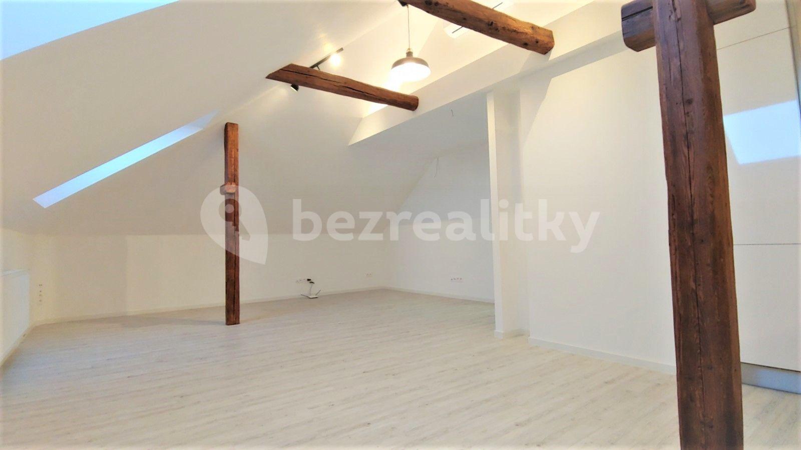 1 bedroom with open-plan kitchen flat to rent, 71 m², Frimlova, Prague, Prague