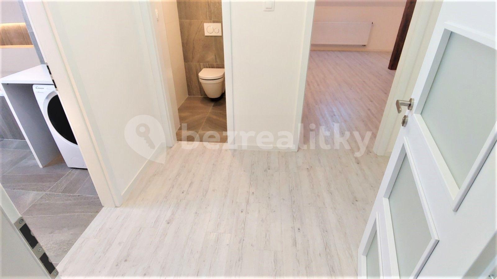 1 bedroom with open-plan kitchen flat to rent, 71 m², Frimlova, Prague, Prague