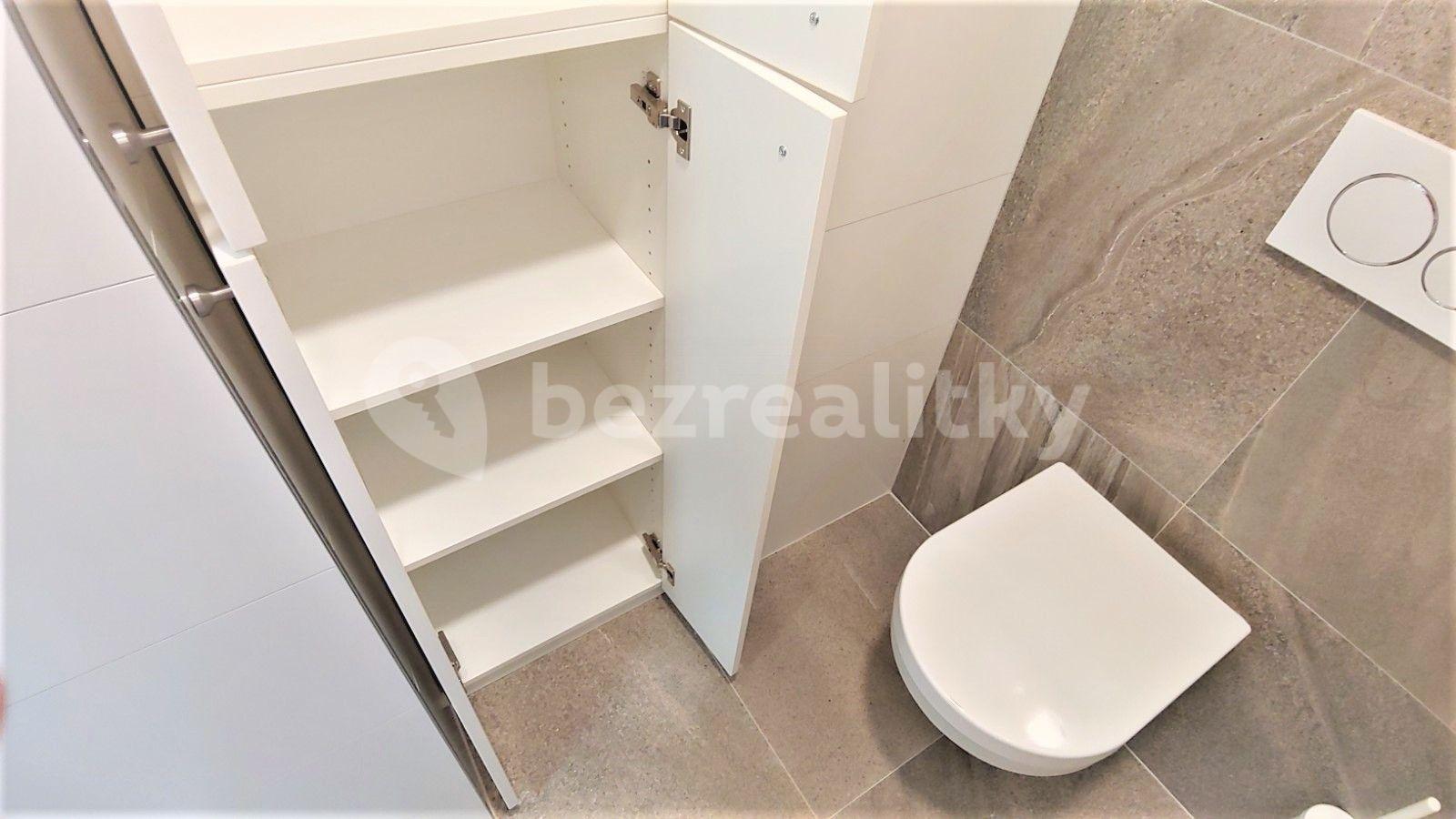 1 bedroom with open-plan kitchen flat to rent, 71 m², Frimlova, Prague, Prague