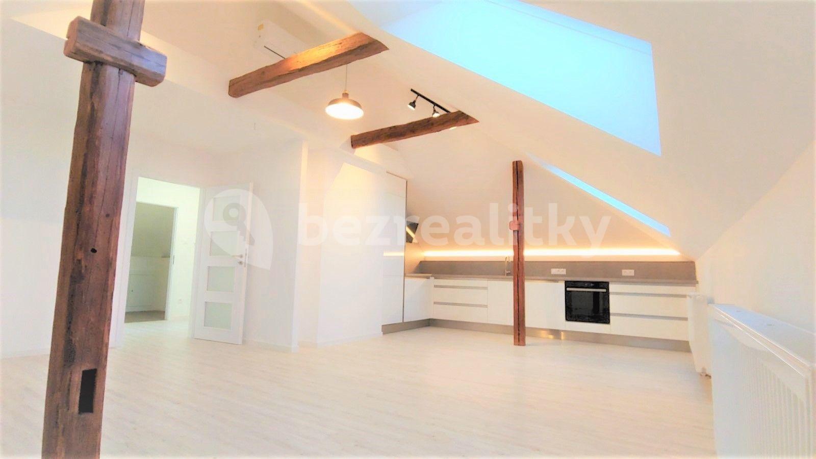 1 bedroom with open-plan kitchen flat to rent, 71 m², Frimlova, Prague, Prague