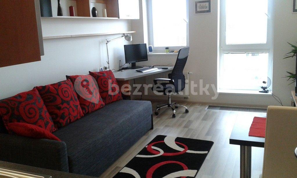 Studio flat to rent, 30 m², U Slovanky, Prague, Prague