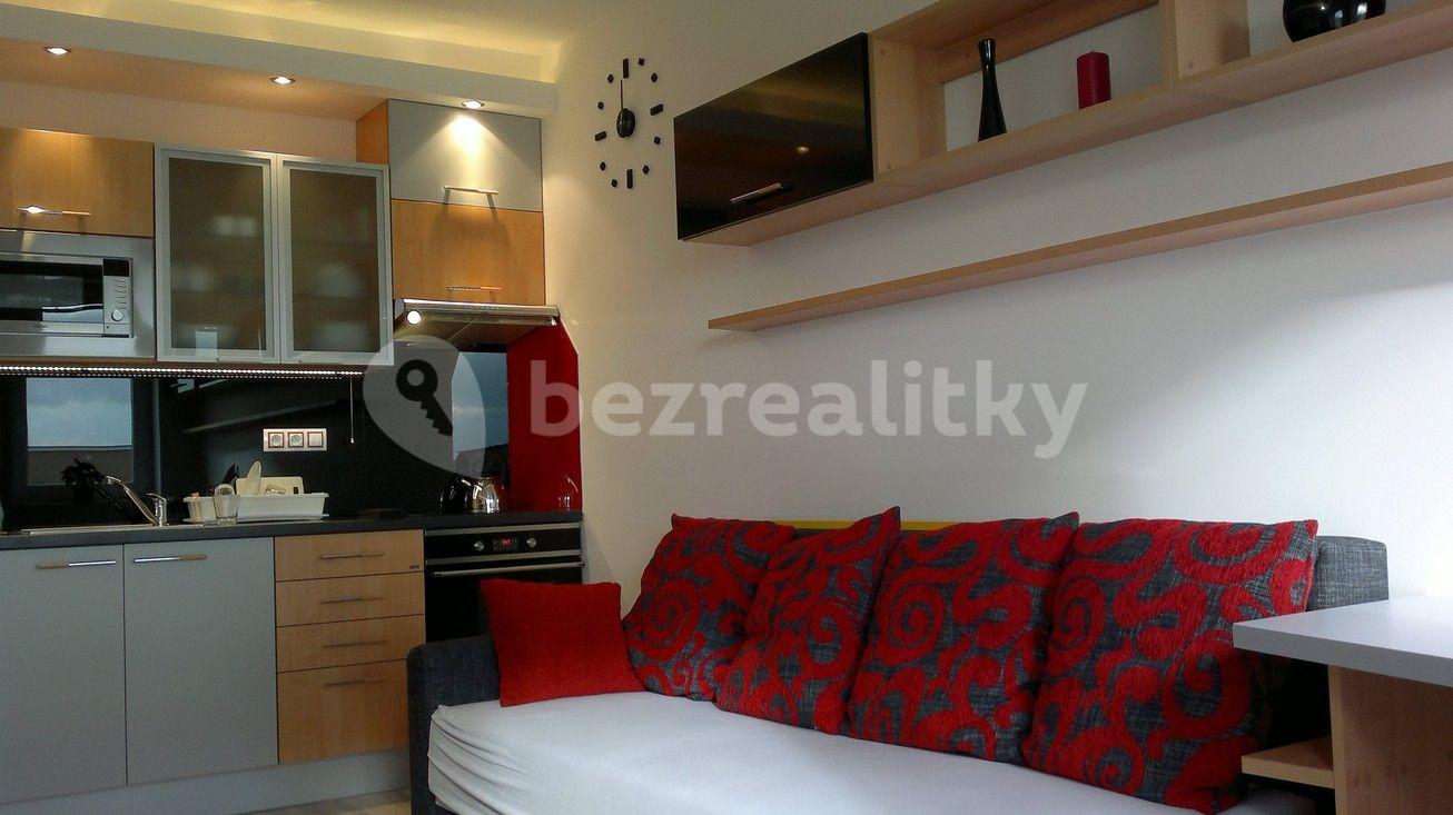 Studio flat to rent, 30 m², U Slovanky, Prague, Prague