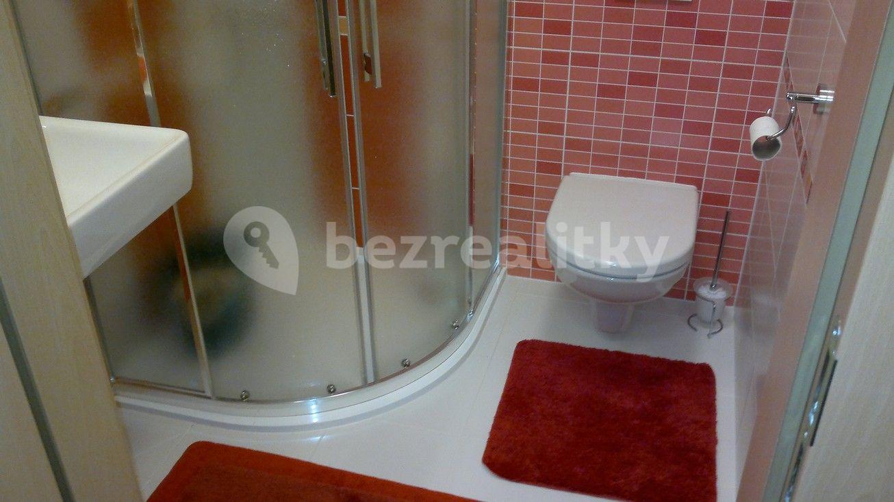 Studio flat to rent, 30 m², U Slovanky, Prague, Prague