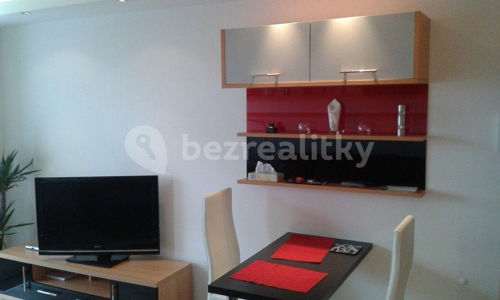 Studio flat to rent, 30 m², U Slovanky, Prague, Prague