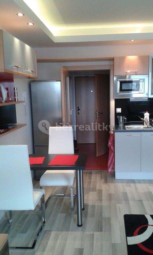 Studio flat to rent, 30 m², U Slovanky, Prague, Prague