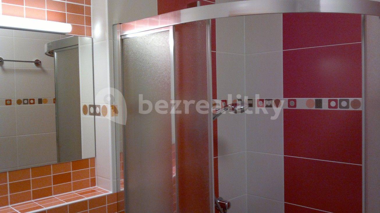 Studio flat to rent, 30 m², U Slovanky, Prague, Prague