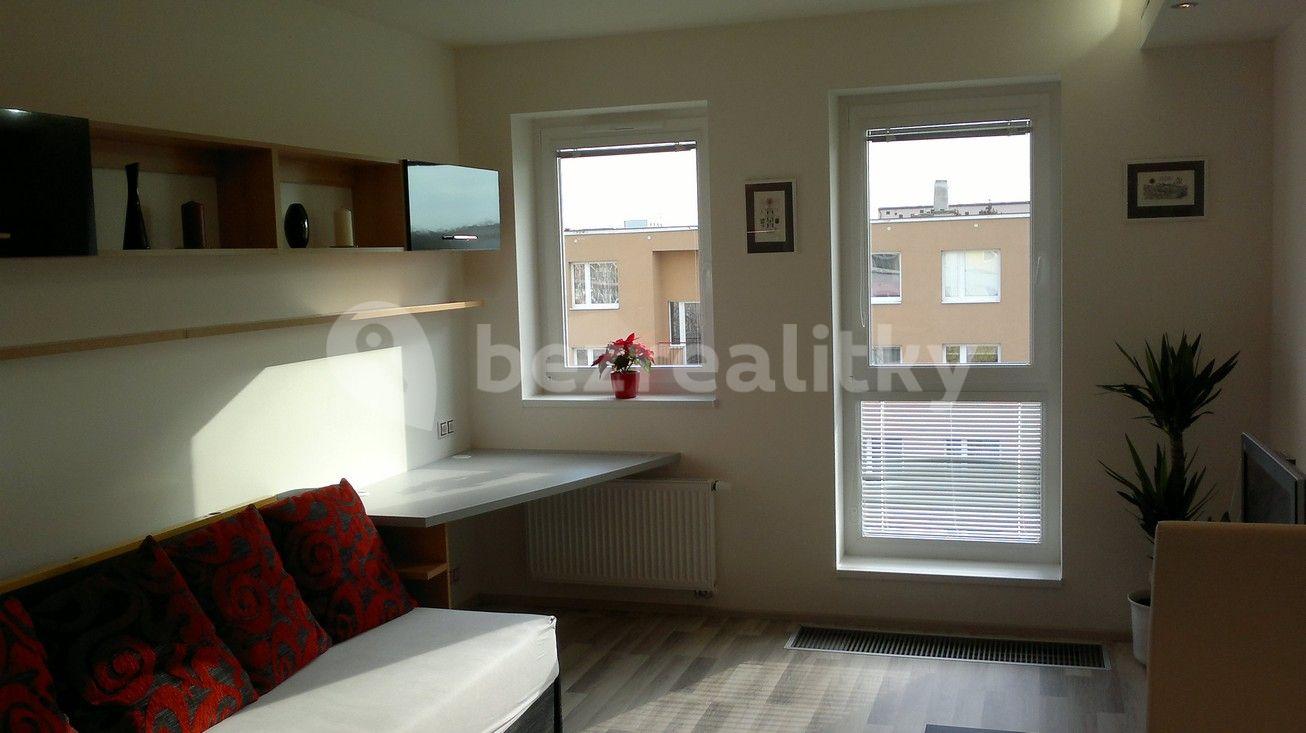 Studio flat to rent, 30 m², U Slovanky, Prague, Prague