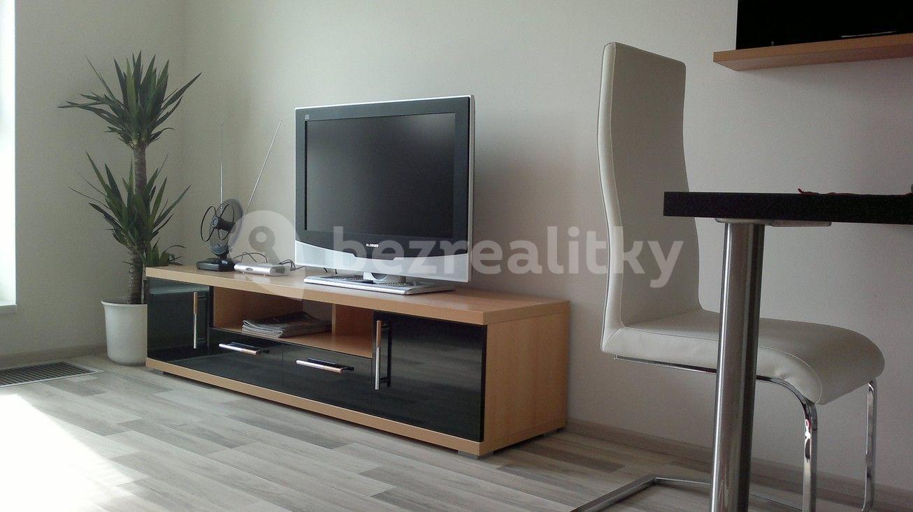 Studio flat to rent, 30 m², U Slovanky, Prague, Prague