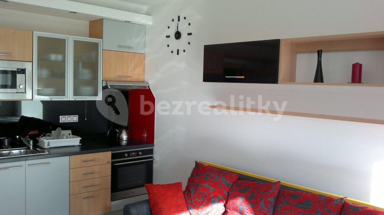 Studio flat to rent, 30 m², U Slovanky, Prague, Prague