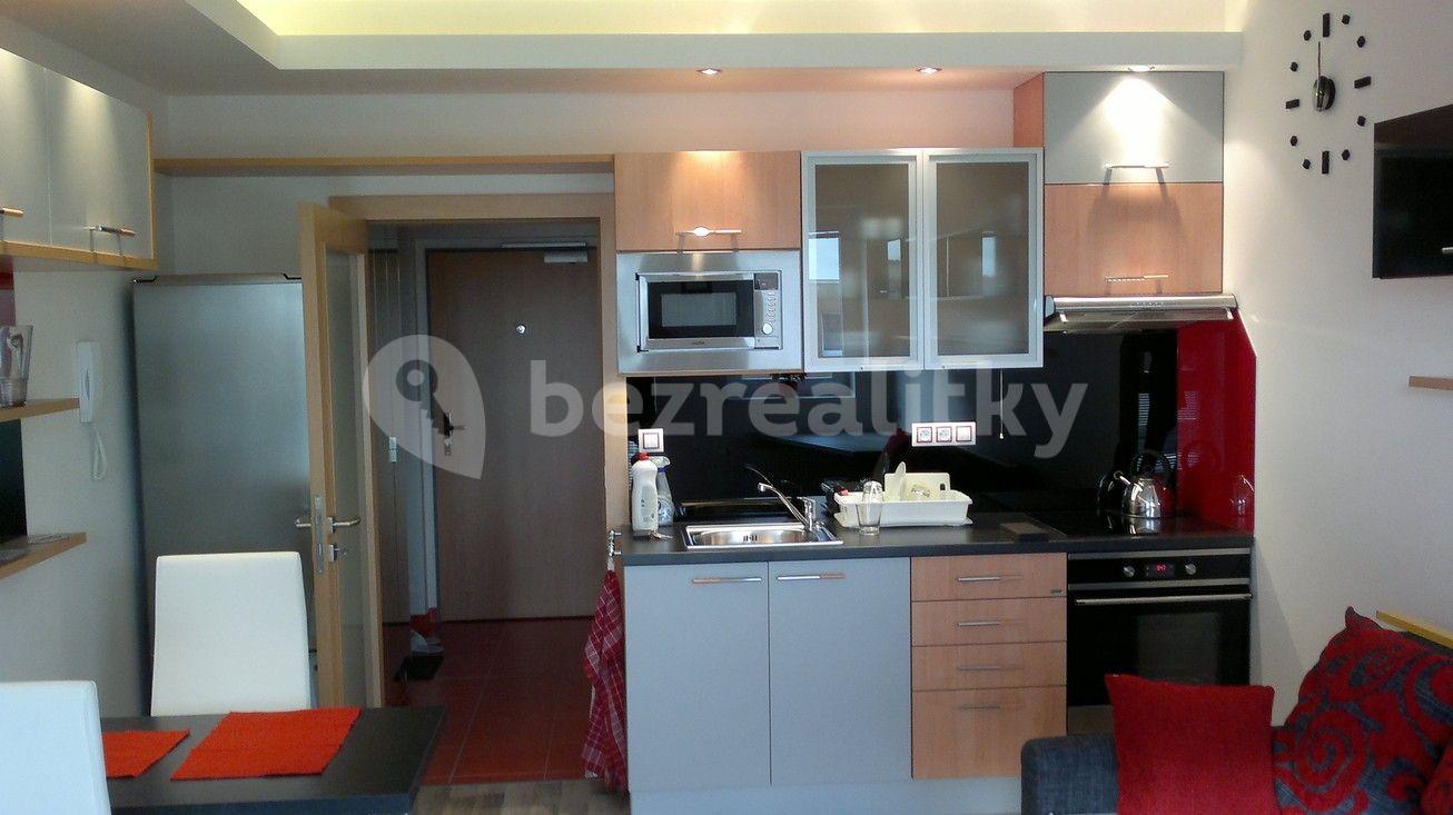 Studio flat to rent, 30 m², U Slovanky, Prague, Prague