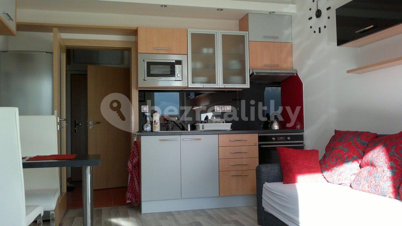 Studio flat to rent, 30 m², U Slovanky, Prague, Prague