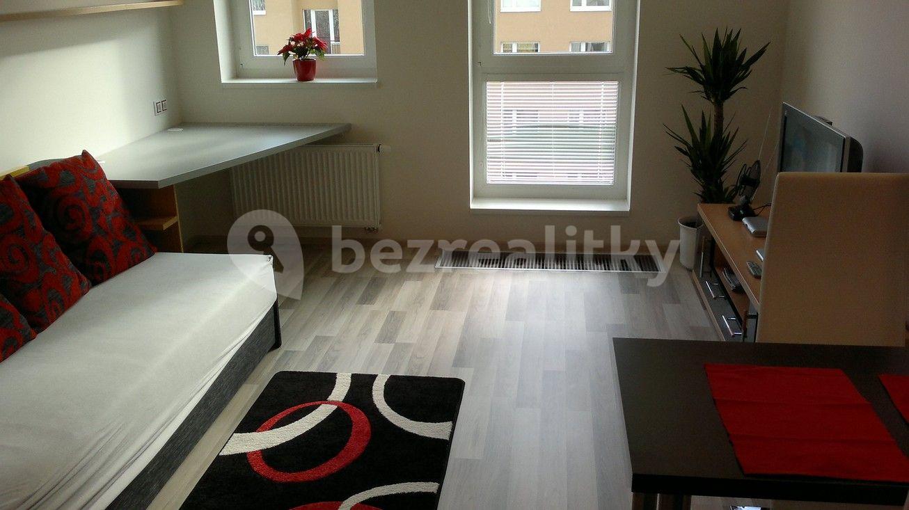 Studio flat to rent, 30 m², U Slovanky, Prague, Prague