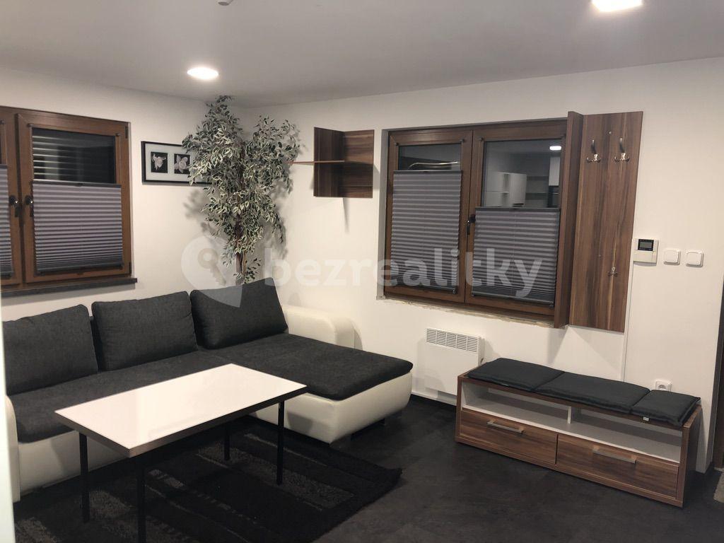 Studio flat to rent, 30 m², Dobrá Voda u Českých Budějovic, Jihočeský Region