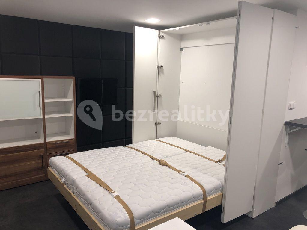 Studio flat to rent, 30 m², Dobrá Voda u Českých Budějovic, Jihočeský Region