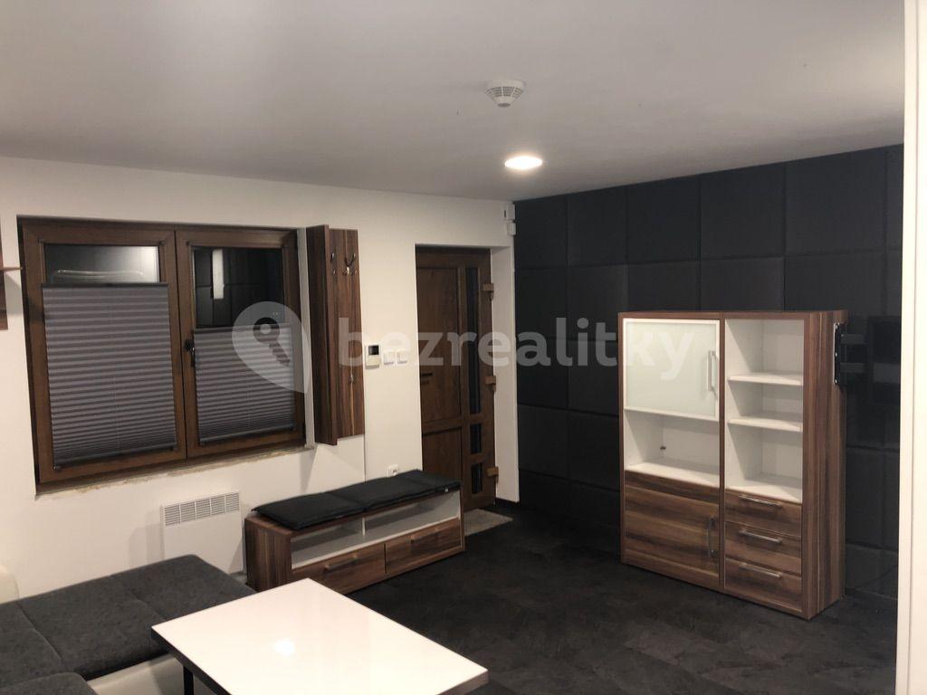 Studio flat to rent, 30 m², Dobrá Voda u Českých Budějovic, Jihočeský Region