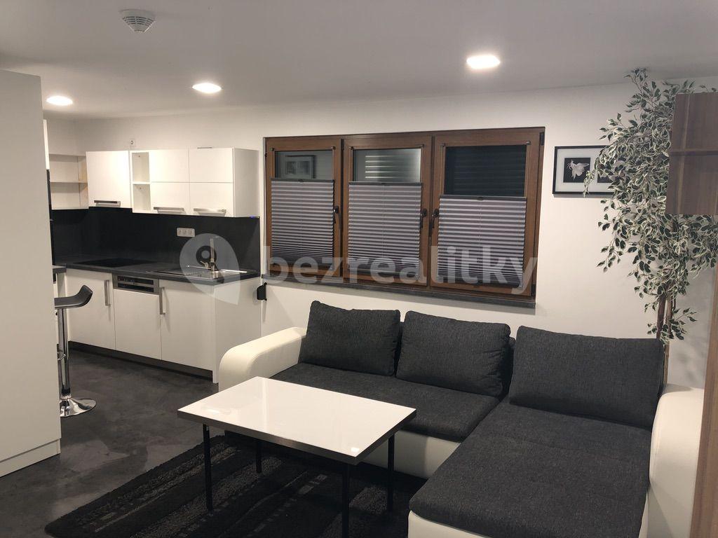 Studio flat to rent, 30 m², Dobrá Voda u Českých Budějovic, Jihočeský Region