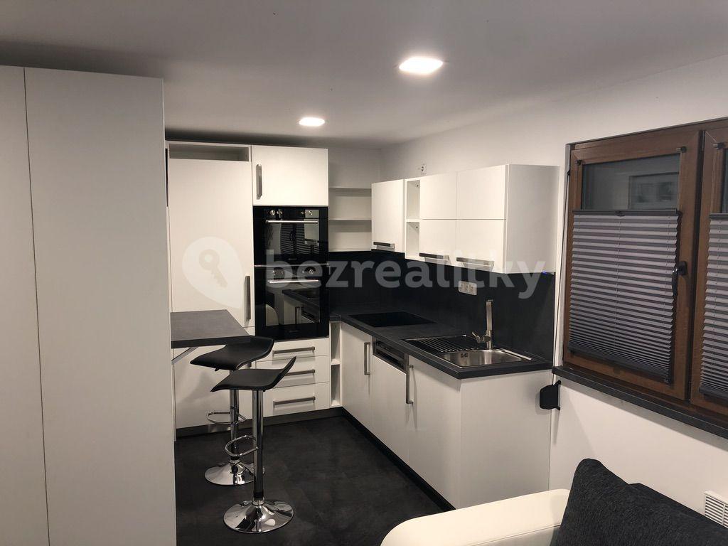 Studio flat to rent, 30 m², Dobrá Voda u Českých Budějovic, Jihočeský Region