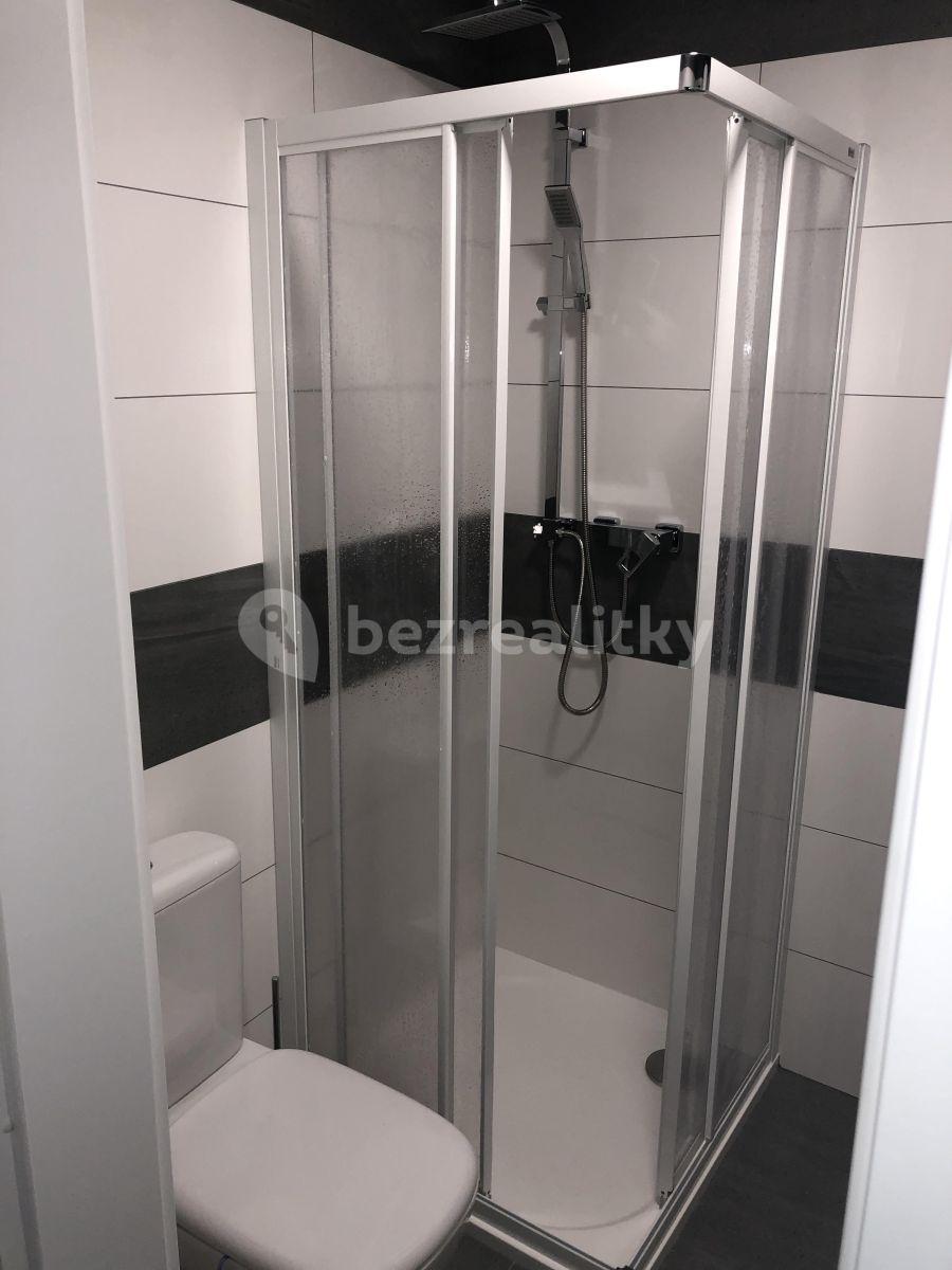 Studio flat to rent, 30 m², Dobrá Voda u Českých Budějovic, Jihočeský Region