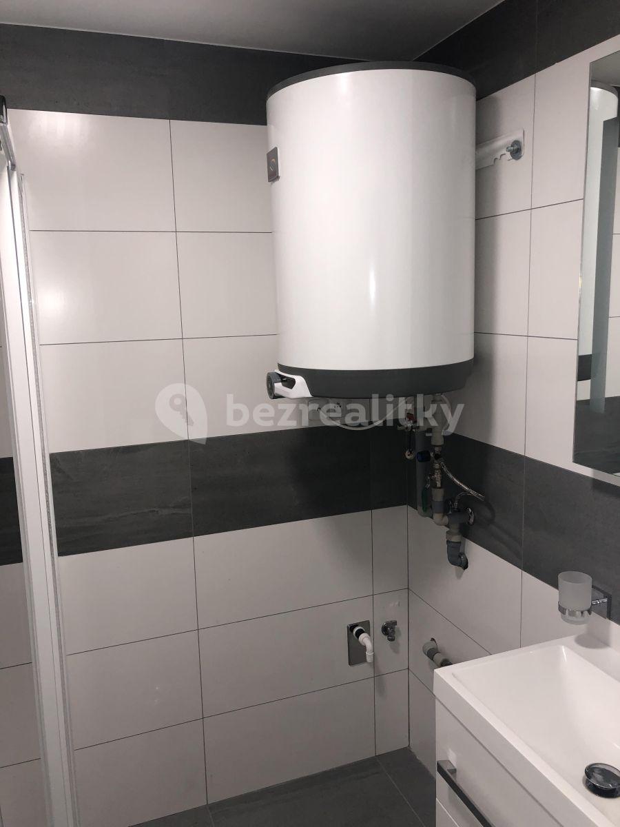 Studio flat to rent, 30 m², Dobrá Voda u Českých Budějovic, Jihočeský Region