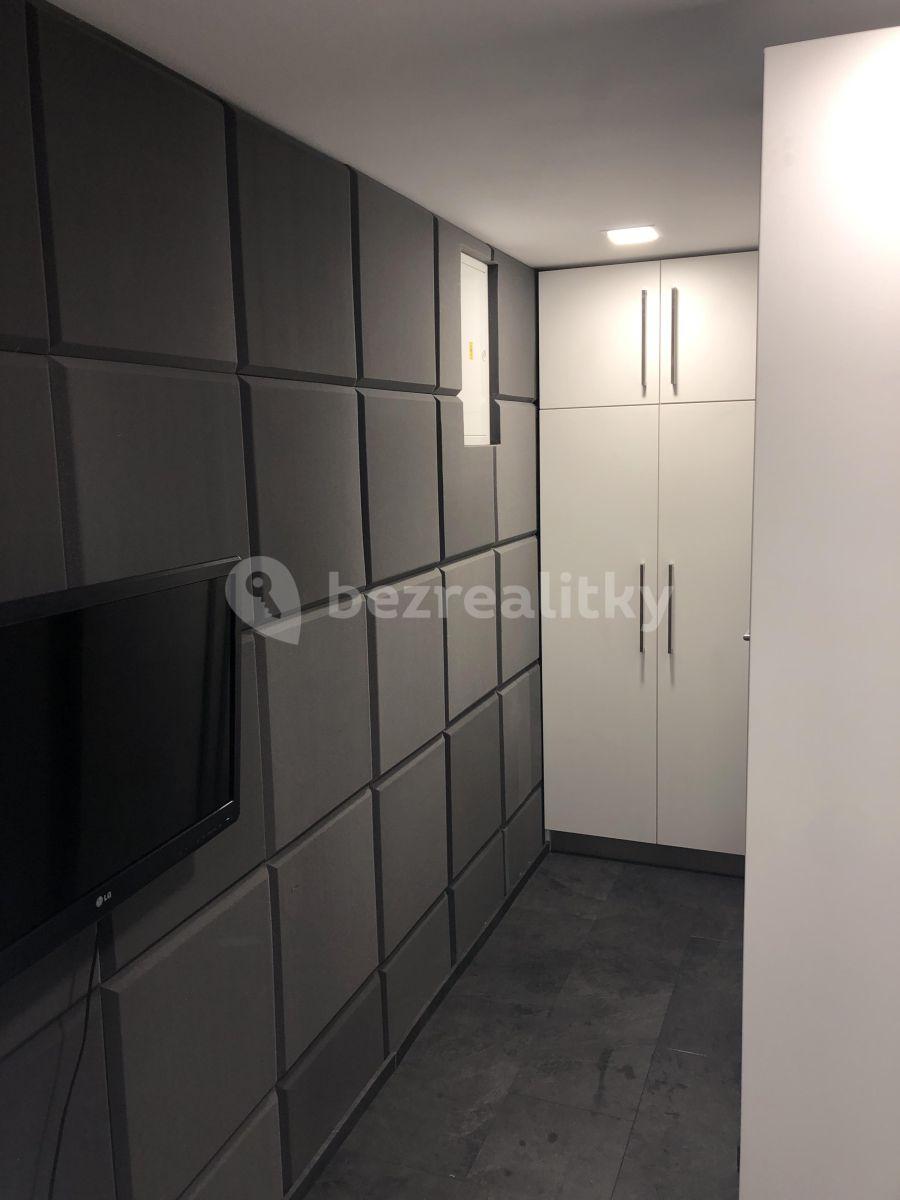 Studio flat to rent, 30 m², Dobrá Voda u Českých Budějovic, Jihočeský Region