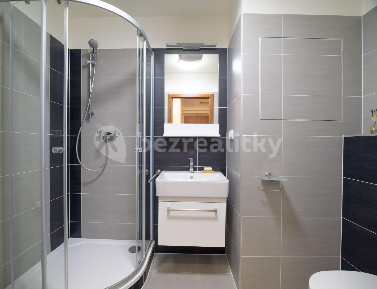 Studio flat to rent, 29 m², Rumiště, Brno, Jihomoravský Region