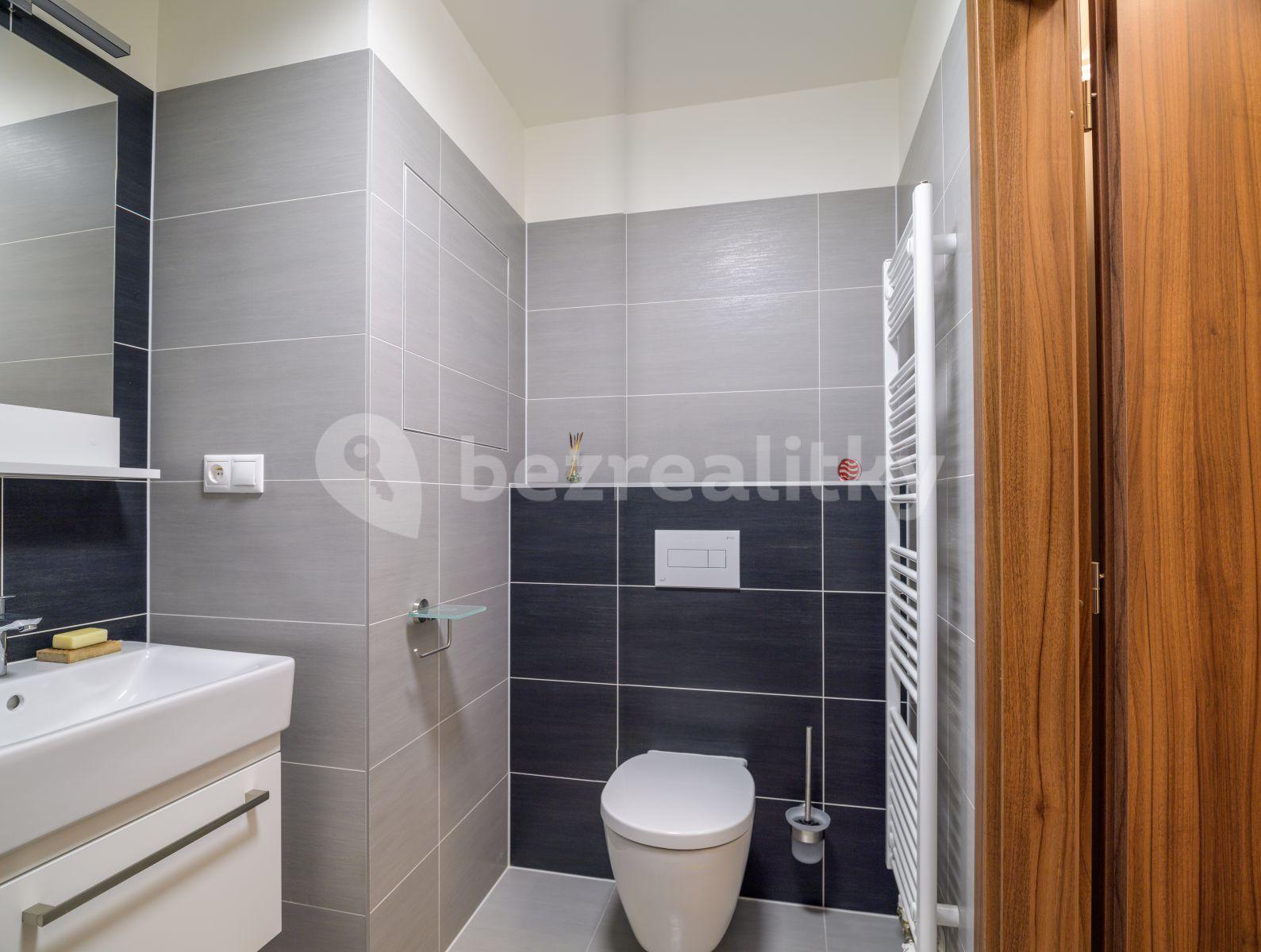 Studio flat to rent, 29 m², Rumiště, Brno, Jihomoravský Region