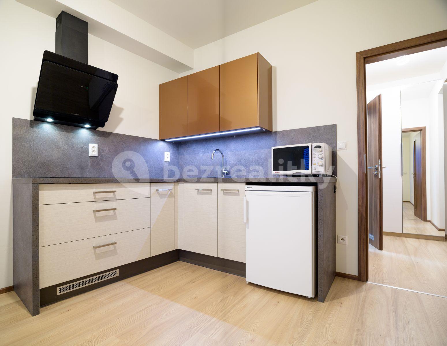 Studio flat to rent, 29 m², Rumiště, Brno, Jihomoravský Region