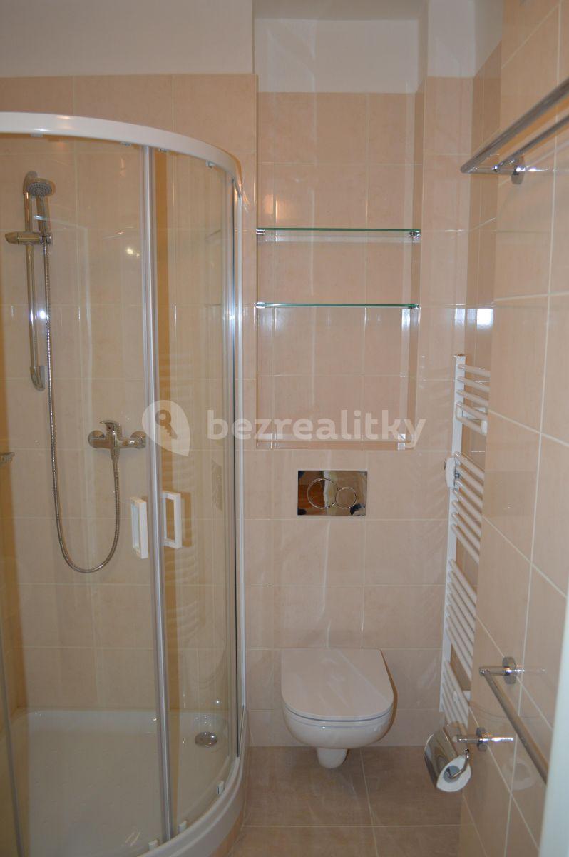 2 bedroom flat to rent, 70 m², Biskupcova, Prague, Prague