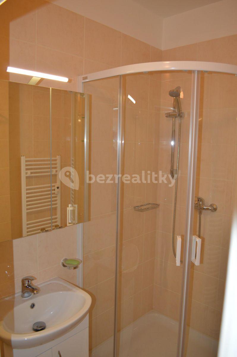 2 bedroom flat to rent, 70 m², Biskupcova, Prague, Prague