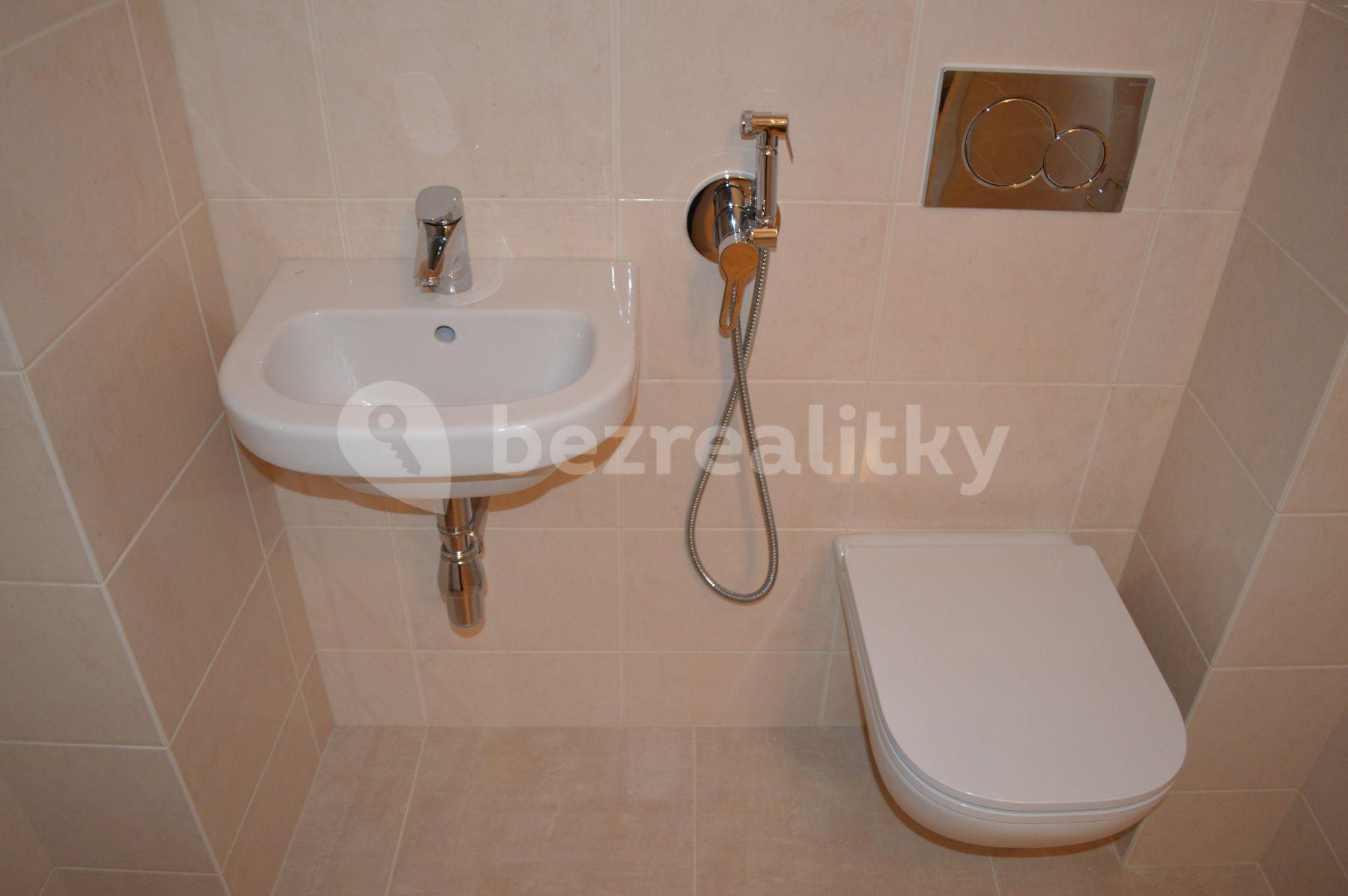 2 bedroom flat to rent, 70 m², Biskupcova, Prague, Prague