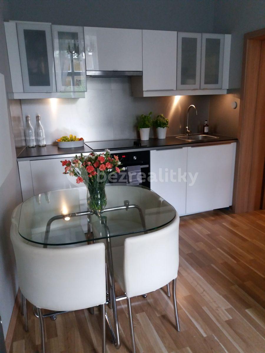 1 bedroom with open-plan kitchen flat to rent, 35 m², Varšavská, Prague, Prague