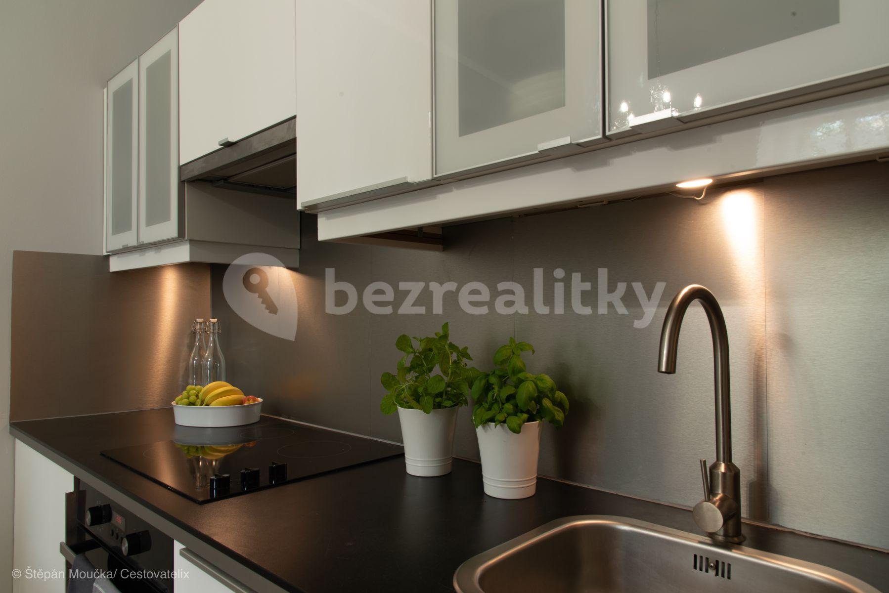 1 bedroom with open-plan kitchen flat to rent, 35 m², Varšavská, Prague, Prague